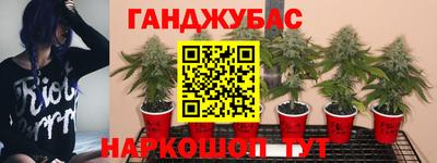 индика Тулун