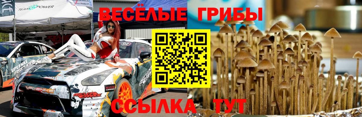 Псилоцибиновые грибы Cubensis Каменск-Уральский