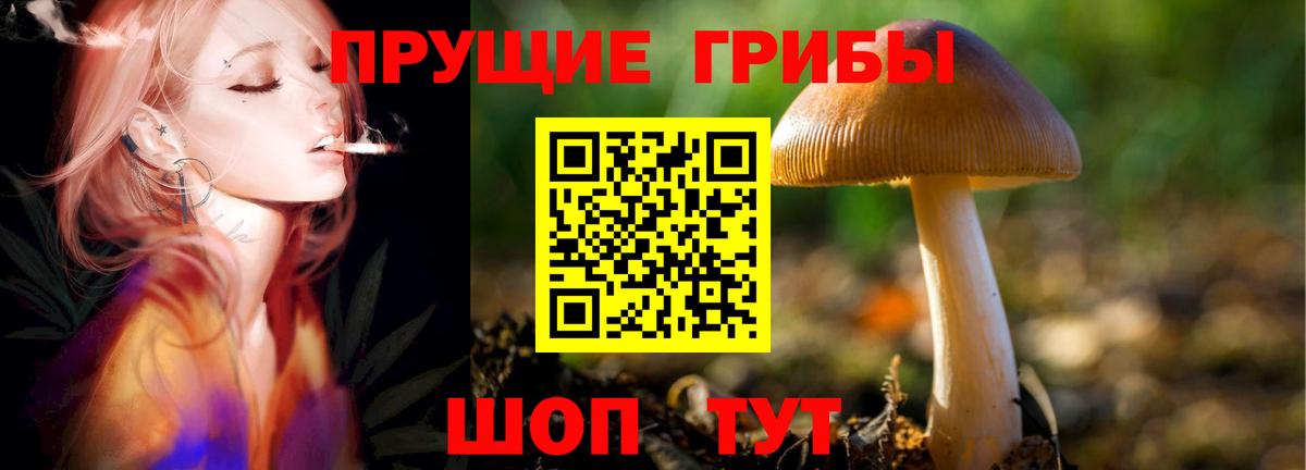 Каменск-Уральский  Псилоцибиновые грибы Magic Shrooms  Вход с VPN 